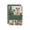 Merry Christmas Photo Collage Classic Green Gold