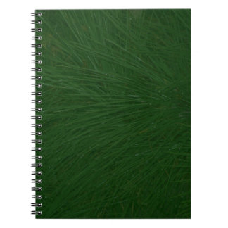 Merry Christmas Pine Tree Close Up Notebook
