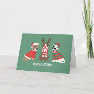 Merry Christmas Pit Bull Dogs Holiday Card