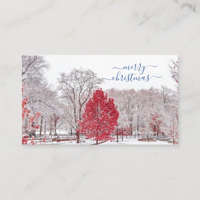 Merry Christmas Place Cards (Front)