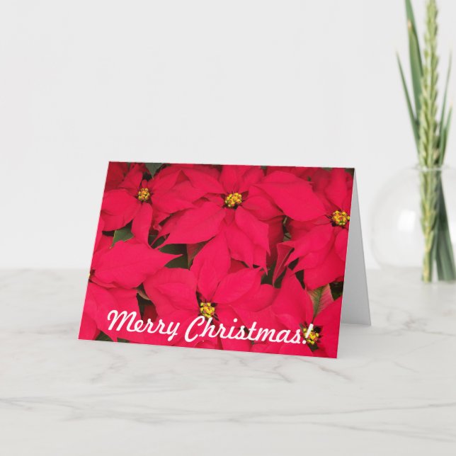 Merry Christmas Poinsettias Holiday Card (Front)