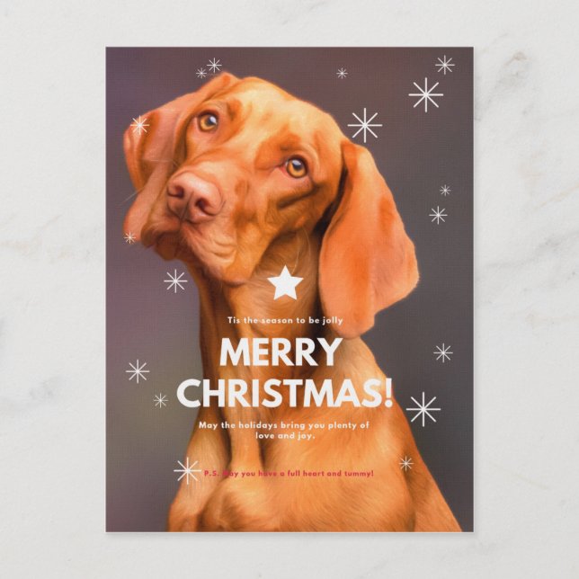 MERRY CHRISTMAS! POSTCARD (Front)