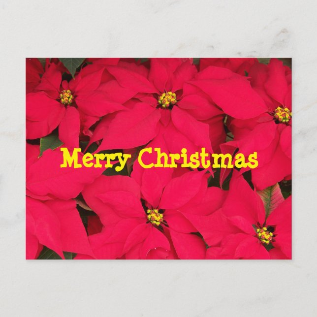 Merry Christmas postcard (Front)