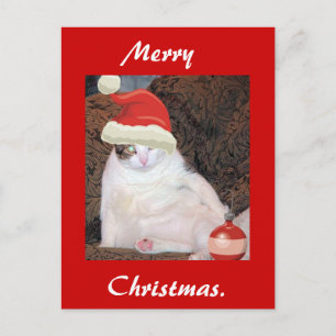 Merry Christmas postcard