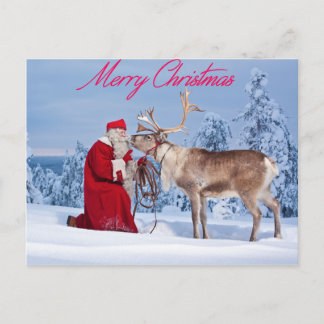 Merry Christmas Postcard
