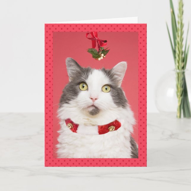 Merry Christmas Pucker Up Cat Under Mistletoe Holiday Card (Front)