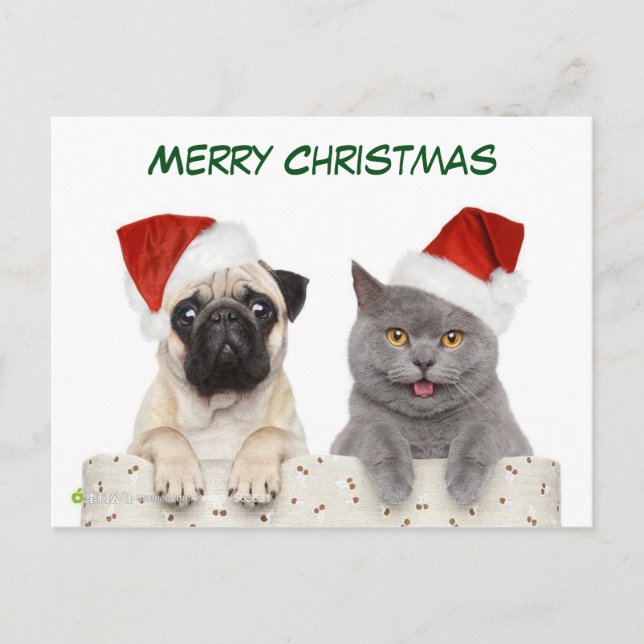 Merry Christmas Pug dog and Kittten Holiday Postcard (Front)