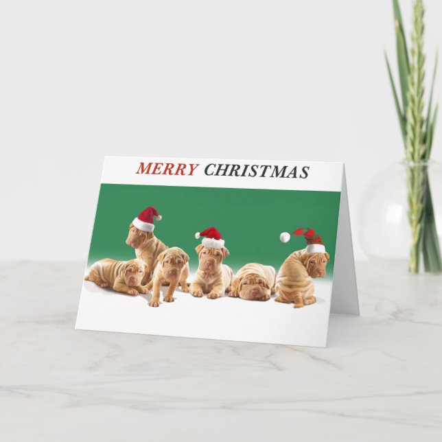 Merry Christmas Puppies Holiday Card (Front)
