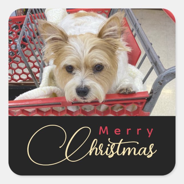 Merry Christmas Puppy Photo Shopping Cart  Square Sticker (Front)