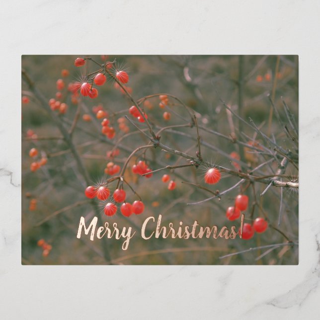 Merry Christmas Red Berries Festive Nature Photo   Foil Holiday Postcard (Front)