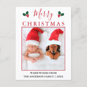 Merry Christmas Red Berries Photo Postcard