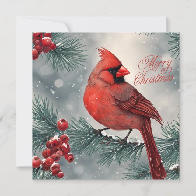 Merry Christmas Red Cardinal and Berries Holiday Card (Front)