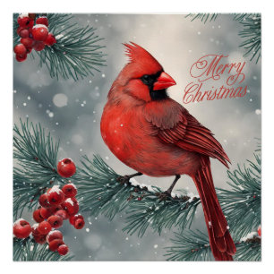 Merry Christmas Red Cardinal and Berries Poster