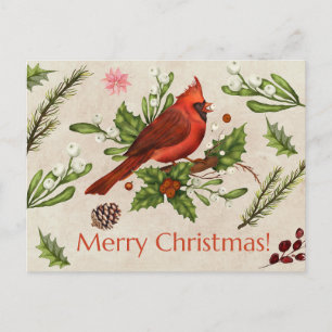Merry Christmas Red Cardinal Postcard