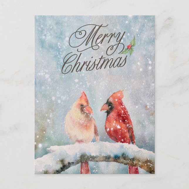Merry Christmas Red Cardinals in the Snow  Holiday Postcard (Front)