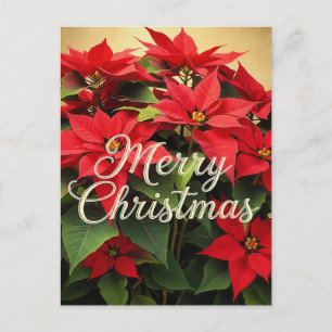 Merry Christmas Red Poinsettias Postcard
