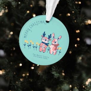 Merry Christmas – Reindeer & Bunny on Teal Ornament