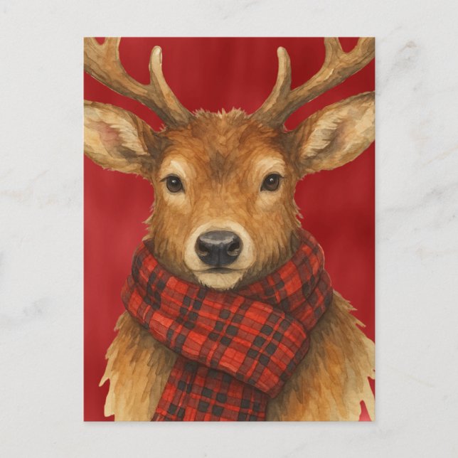 Merry Christmas Reindeer Postcard (Front)