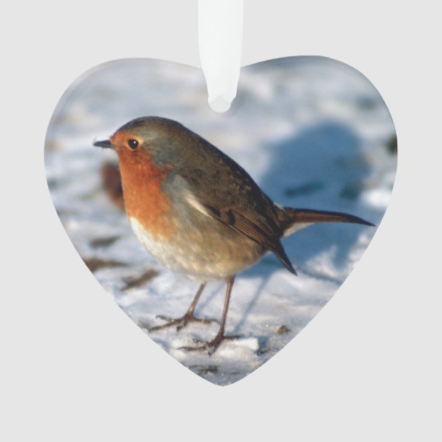 Merry Christmas Robin in the Snow Ornament (Front)