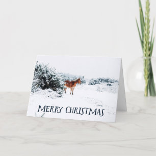 Merry Christmas Rustic Winter Scene with Horse Holiday Card