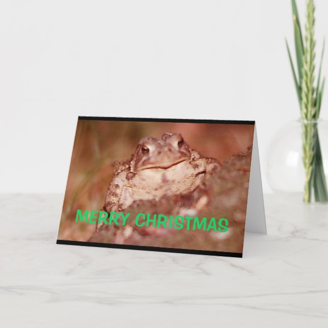 Merry Christmas Same Thing I Toad You Last Year Card (Front)