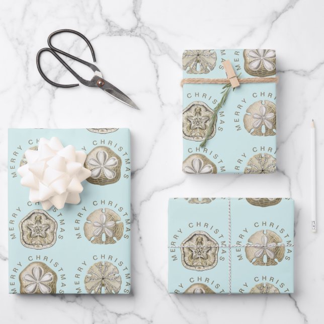 Merry Christmas Sand Dollar Turquoise Pattern Wrapping Paper Sheet (Front)