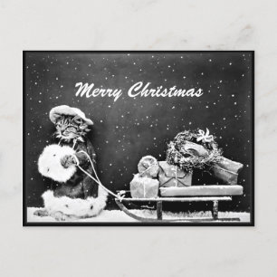 Merry Christmas Santa Cat Christmas Postcard