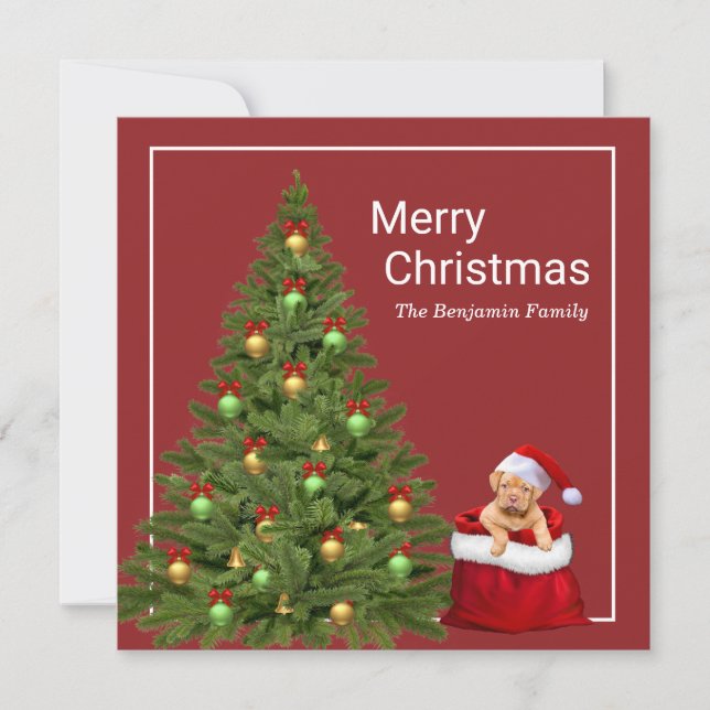 Merry Christmas Santa Claus Fun Dog Personalise Holiday Card (Front)