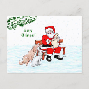 Merry Christmas! Santa Claus with Cat and Dog Postcard