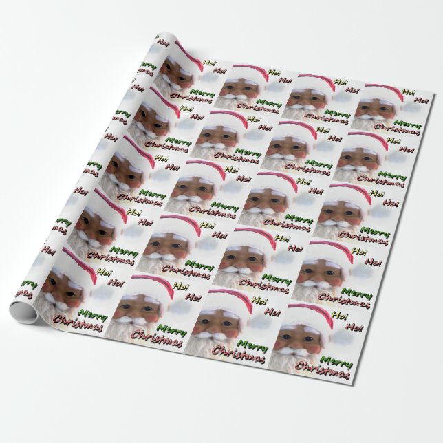 Merry Christmas Santa Clause Wrapping Paper (Unrolled)