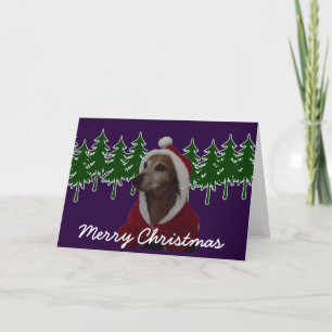 Merry Christmas Santa Dachsund Holiday Card