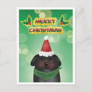 Merry Christmas Santa Hat Dog Holiday Postcard