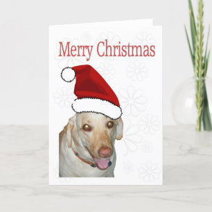 Merry Christmas Santa Labrador Holiday Card