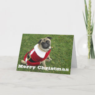 Merry Christmas Santa Pug Holiday Card