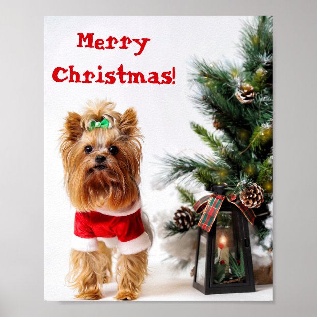 Merry Christmas Santa Yorkie with Christmas Tree Poster (Front)