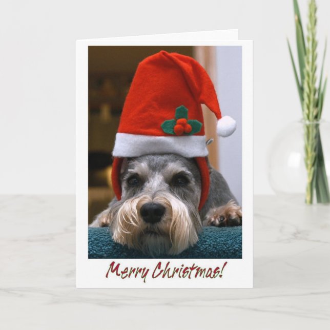 Merry Christmas Schnauzer Holiday Card (Front)