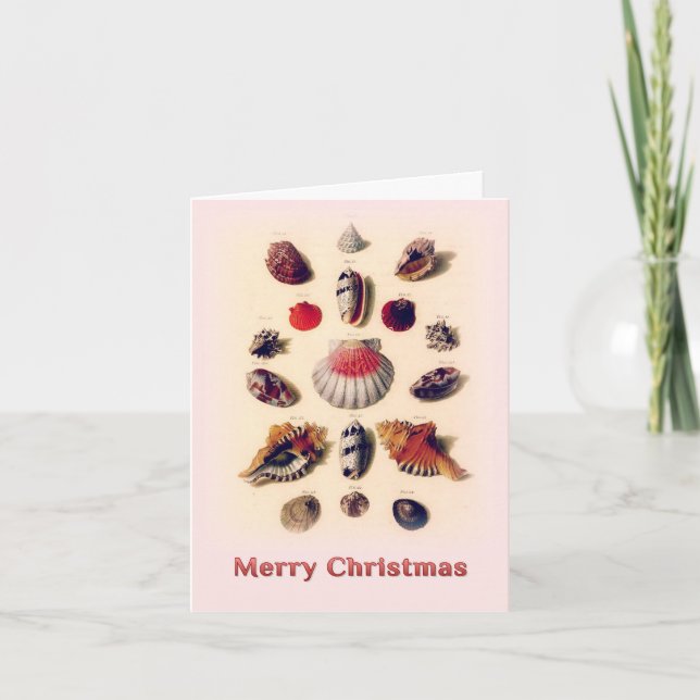 Merry Christmas Seashells Pink Greeting Card (Front)