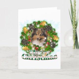 Merry Christmas Sheltie Holiday Card