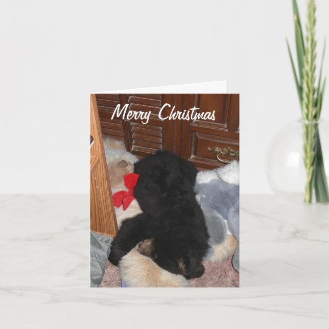 Merry Christmas - Shenandoah Bright Holiday Card (Front)