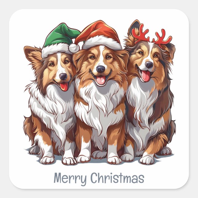 Merry Christmas Shetland Sheepdogs Square Sticker (Front)