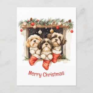 Merry Christmas Shih Tzu Dogs Postcard
