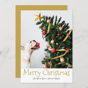 Merry Christmas Simple Fun Text Photo Card