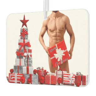 Merry Christmas SlipperyJoe red white silver gift  Car Air Freshener