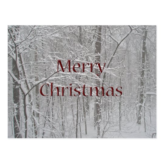 Merry Christmas Snow Storm Coordinating Items Postcard