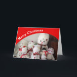 Merry Christmas snowman card<br><div class="desc">This snowman Christmas card is sure to bring a few smiles this Christmas. Use the sample photo or change it for one of your own. Update the message if you would like to create a personal touch. Always customize the design to check your creation before ordering to ensure good image...</div>