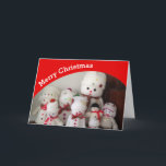 Merry Christmas snowman card<br><div class="desc">This snowman Christmas card is sure to bring a few smiles this Christmas. Use the sample photo or change it for one of your own. Update the message if you would like to create a personal touch. Always customize the design to check your creation before ordering to ensure good image...</div>