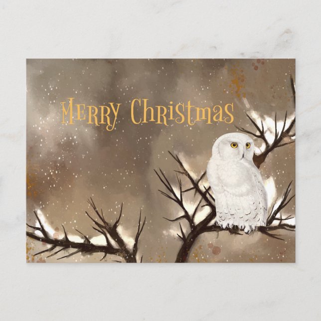 Merry Christmas Snowy Owl Postcard (Front)