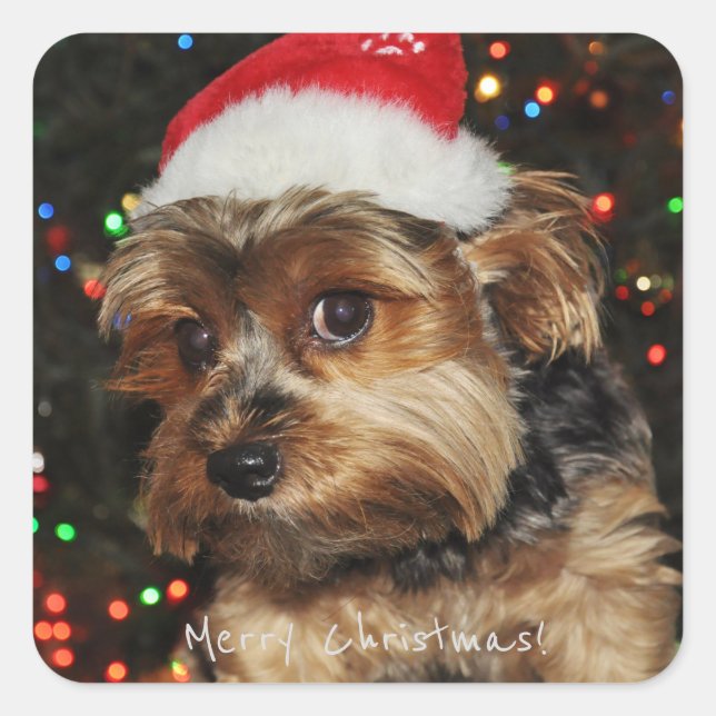 Merry Christmas Square Sticker (Front)