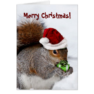 Squirrell Greeting Cards | Zazzle.co.uk