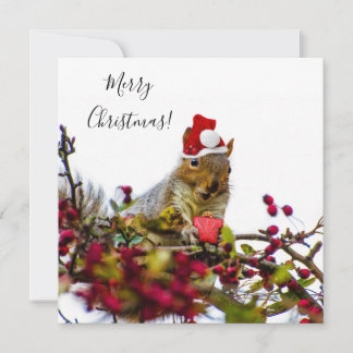 Merry Christmas squirrel flat card
